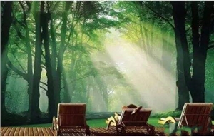 威大空氣凈化活性炭給你打造一個(gè)五星級(jí)的居住環(huán)境！電話：13838587319 孫經(jīng)理